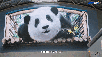 成都双流机场06.gif