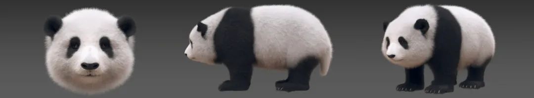 202505081814533289 微信图片_20250307100934.jpg