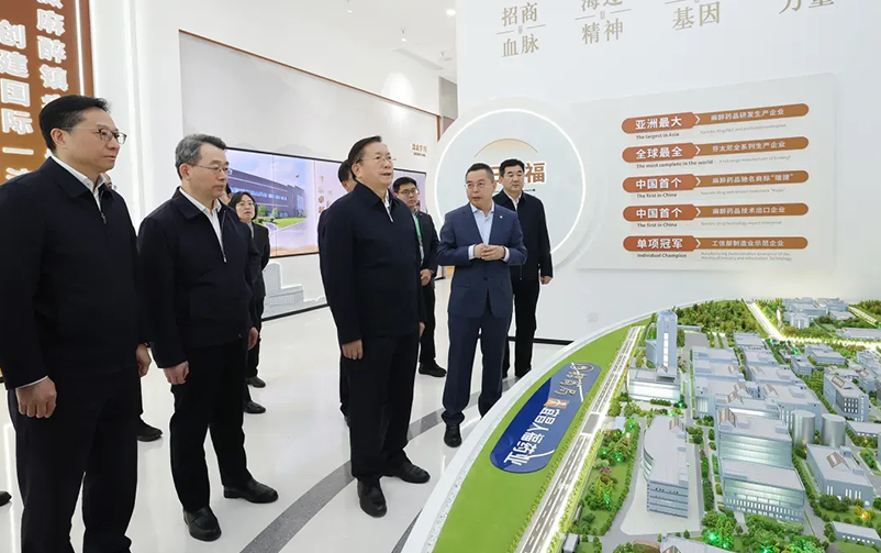 快讯丨湖北省委领导调研宜昌人福总部基地，9091美高梅官方网站视觉助力企业高质量发声